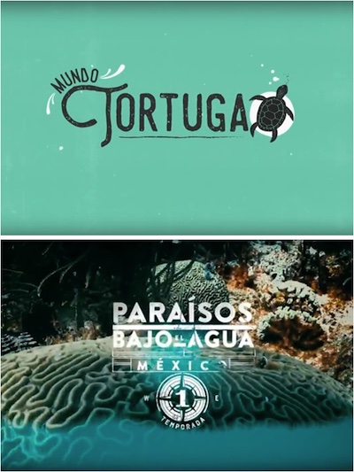 Collage: Imagen 1: Letrero Mundo Tortuga sobre fondo verde, una tortuga flota al final del letrero. Imagen 2: Corales. Letrero Paraísos Bajo el Agua México 1 Temporada.