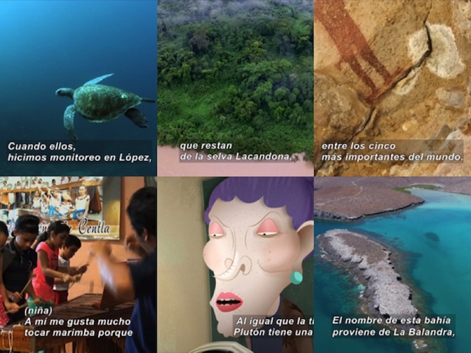 Collage de 6 imágenes con subtítulos: una tortuga en el mar, una selva, pintura rupestre, niños tocando marimba, animación de una anciana de nariz larga, costa en un mar turquesa.