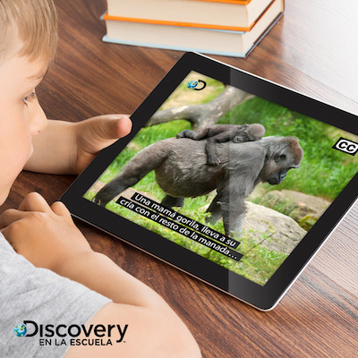 Niño ve en una tableta video con subtítulos. Subtítulo: "una mamá gorila lleva a su cría con el resto de la manada"