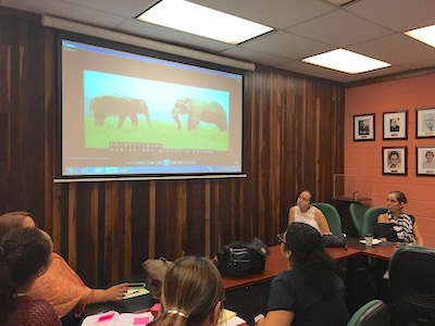 Salón, varios maestros ven en una pantalla grande imagen de 2 elefantes frente a frente