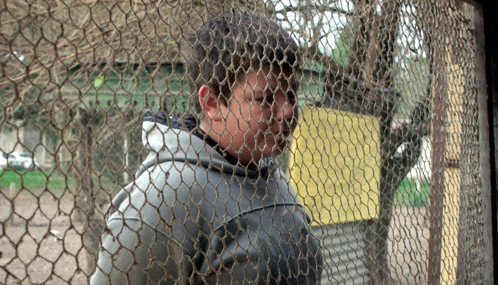 A man looks through a chicken wire fence.