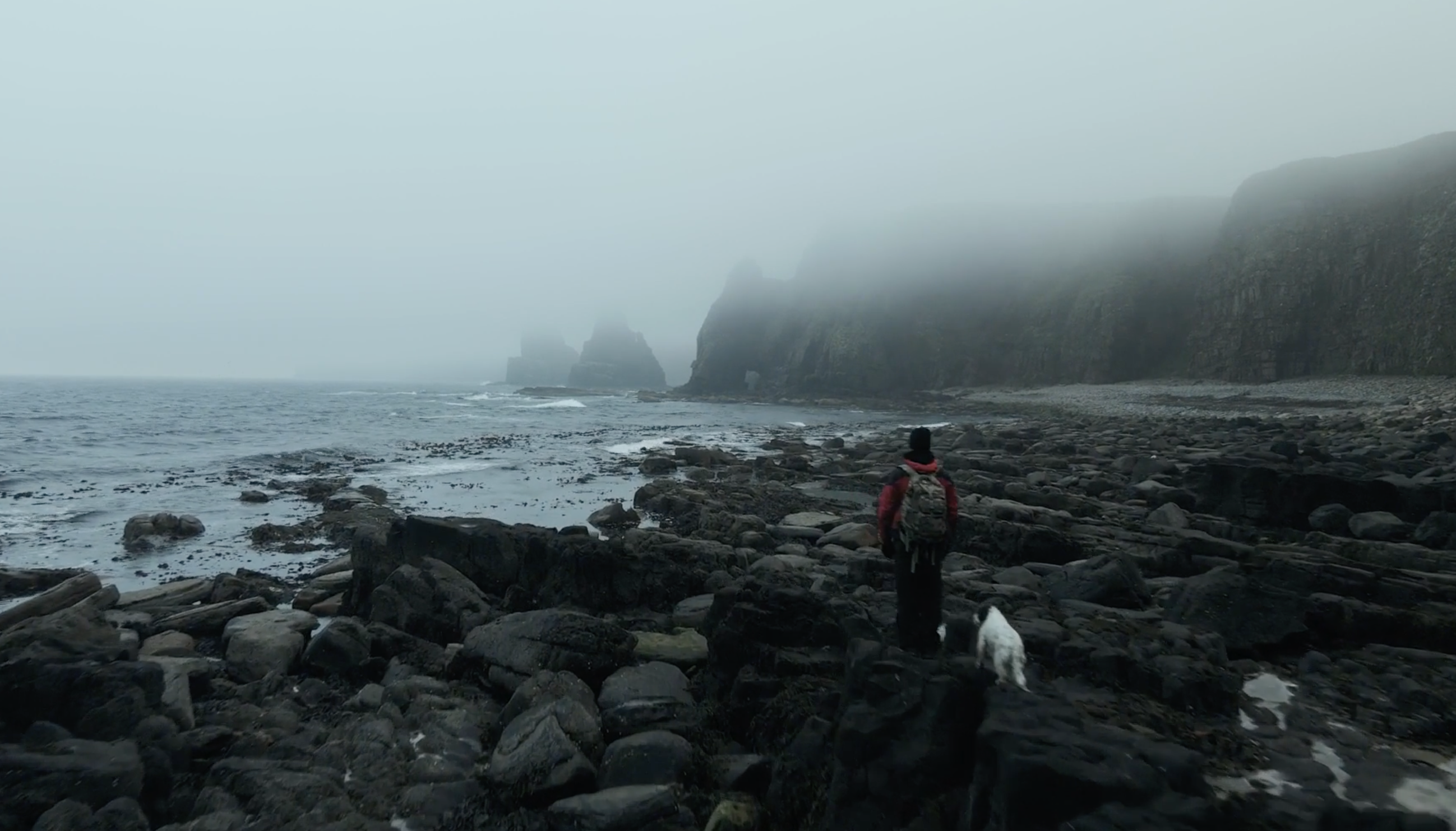 A rocky coast covered by fog. A man wearing a hat and a winter jacket stands over rocks on the beach and looks towards the ocean. A white and black dog is next to him.